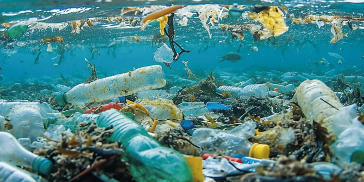 La ONU advierte que para el 2050 podría haber más plástico que peces en el mar