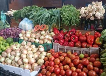 Fedeagro: bandas delictivas ingresan al país frutas y hortalizas por contrabando y sin control sanitario