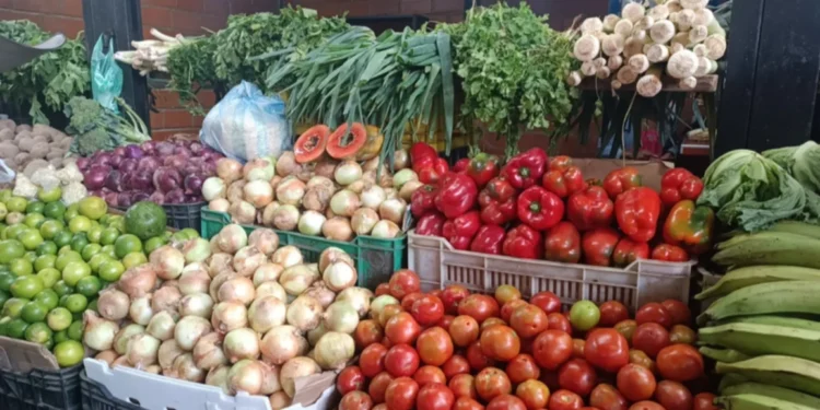 Fedeagro: bandas delictivas ingresan al país frutas y hortalizas por contrabando y sin control sanitario