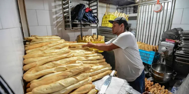 Fevipan: producción de pan solo cubre el 40% de la distribución nacional