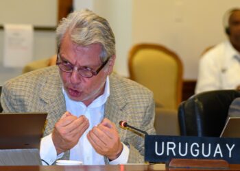 Embajador de Uruguay ante la OEA: Si alguien abandona a Venezuela, verá las consecuencias
