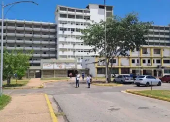 Horror en Bolívar: dos hermanos con problemas mentales asesinaron a su madre