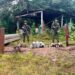 Incautan semisumergible en un campamento de la guerrilla del ELN en el oeste de Colombia