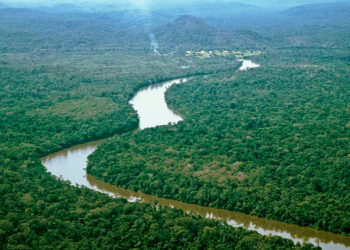 Amazonía venezolana azotada por violación de derechos humanos y pérdida de la biodiversidad