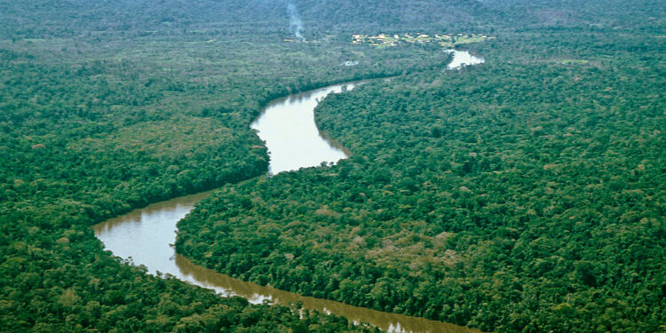 Amazonía venezolana azotada por violación de derechos humanos y pérdida de la biodiversidad