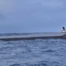 Decomisan en Francia narcosubmarino colombiano con cinco toneladas de cocaína avaluada en $16.500 millones