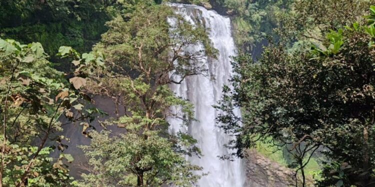 Fuertes lluvias aumentan la caída de agua de la Cascada del Vino en Lara