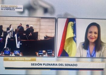 Actas que demuestran victoria opositora el 28 de julio llegaron al Senado de Colombia