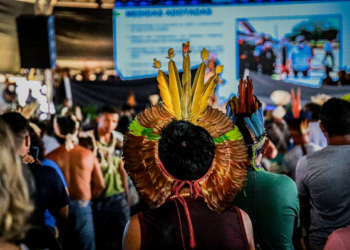 La CIDH y la ONU condenan la ola de violencia contra los pueblos indígenas en Brasil