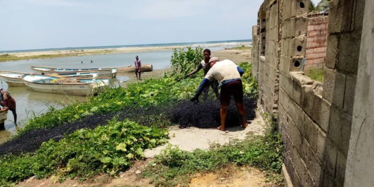 29 % de las lanchas de Boca de Aroa están dañadas por derrame de petróleo en El Palito