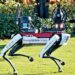 Perros robot al servicio de Donald Trump velan por su seguridad junto al Servicio Secreto