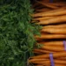 EEUU: Brote de E. coli en zanahorias orgánicas deja al menos un muerto y decenas de afectados  en varios estados