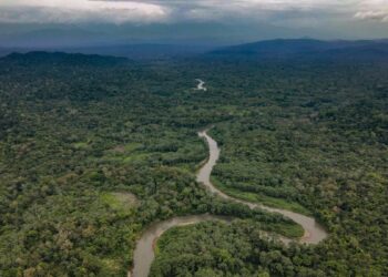 Presidente panameño insiste que Darién es «otra frontera de EEUU»