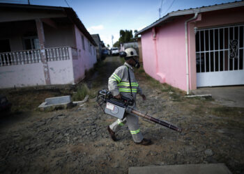 El dengue causa 46 muertes y 24.697 contagios en Panamá