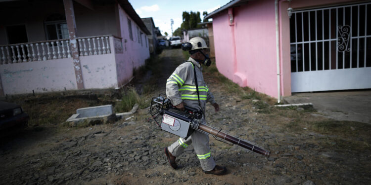 El dengue causa 46 muertes y 24.697 contagios en Panamá