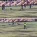 Un muerto y cuatro heridos tras impacto de rayo en campo de fútbol en Perú