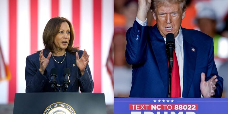 72% de judíos israelíes prefiere a Trump sobreHarris; los palestinos no ven diferencia