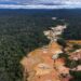 SOS Orinoco: «supuesta lucha del régimen contra la minería ilegal es una farsa»
