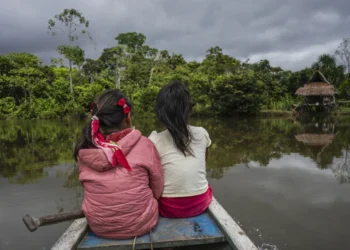 Alertan que una sequía “sin precedentes” afecta a 420.000 niños en la Amazonía