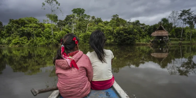 Alertan que una sequía “sin precedentes” afecta a 420.000 niños en la Amazonía