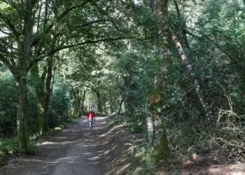 La emergencia climática reúne a 198 países en la  COP 29
