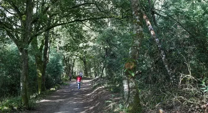La emergencia climática reúne a 198 países en la  COP 29