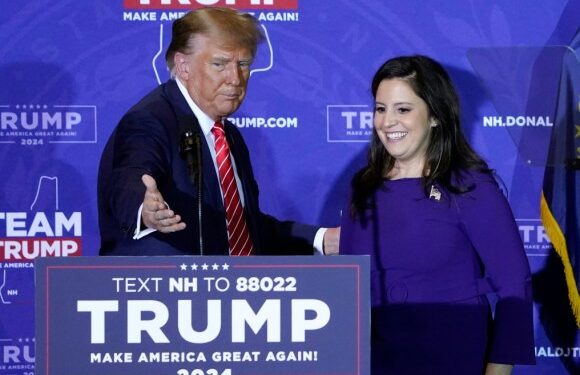 Trump designa a congresista Elise Stefanik como embajadora ante la ONU