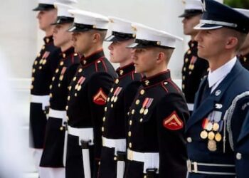 Día de los Veteranos en EEUU, conmemoración y Gratitud a los Héroes Militares