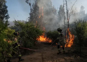 Chile declara alerta roja por incendios forestales en cinco comunidades