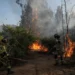 Chile declara alerta roja por incendios forestales en cinco comunidades