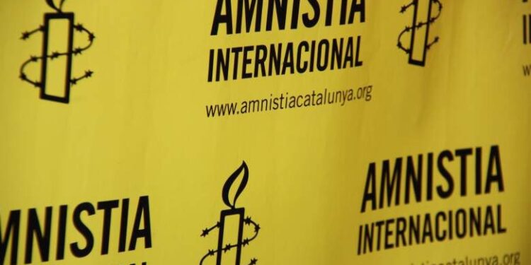 Amnistía Internacional pide al régimen de Maduro detener el acoso contra Provea