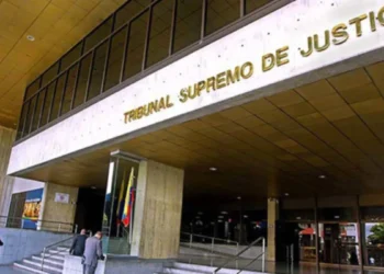 TSJ admitió recurso de movimiento chavista para proteger a menores por retos de TikTok