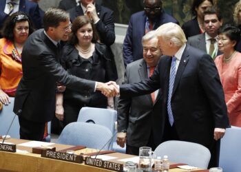 Trump se reunió con el secretario general de la OTAN para abordar desafíos en materia de seguridad