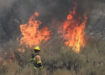 Incendio Mountain en California sin control y destruye varias mansiones cerca de Los Ángeles
