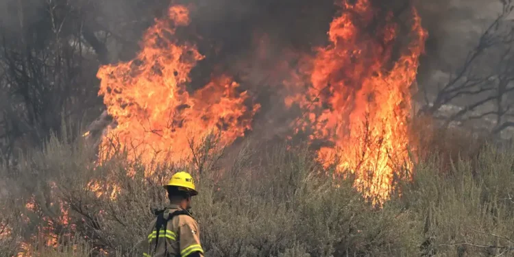 Incendio Mountain en California sin control y destruye varias mansiones cerca de Los Ángeles