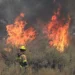 Incendio Mountain en California sin control y destruye varias mansiones cerca de Los Ángeles