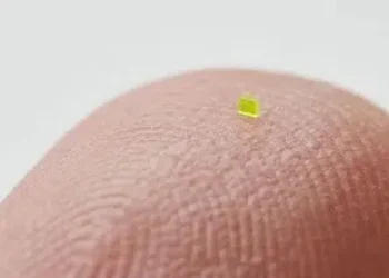 Te sorprenderá el precio de la bolsa de mano más pequeña del mundo (Fotos)