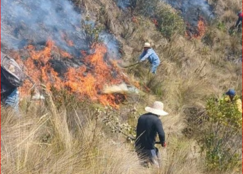 Ecuador declara emergencia nacional por incendios, déficit hídrico y sequía