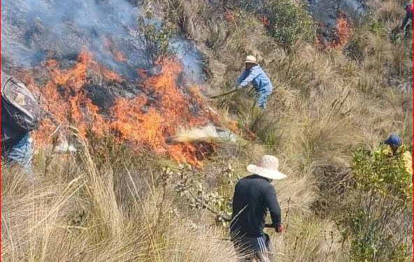Ecuador declara emergencia nacional por incendios, déficit hídrico y sequía