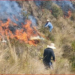 Ecuador declara emergencia nacional por incendios, déficit hídrico y sequía