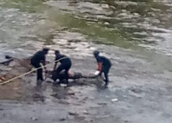 Hallaron el cadáver de un hombre en el río Guaire
