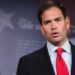 Trump elige al senador estadounidense Marco Rubio como secretario de Estado