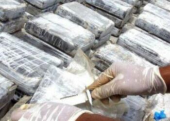 Incautan en España 13 toneladas de cocaína procedente de Ecuador