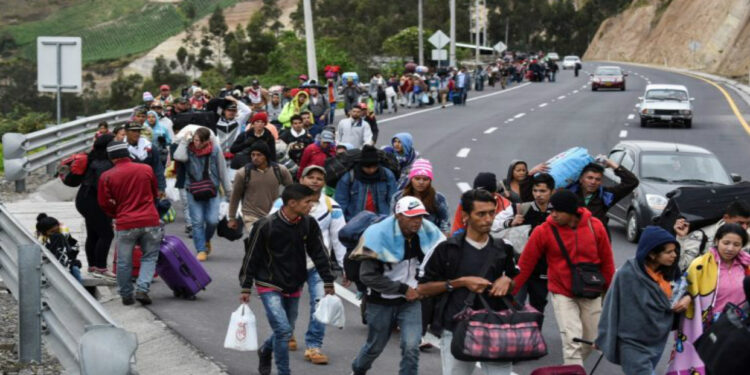 UE reafirma su compromiso contra el tráfico de personas en Día Internacional de Migrante