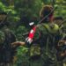 Condenan a dos miembros del ELN por asesinato de un teniente de la policía