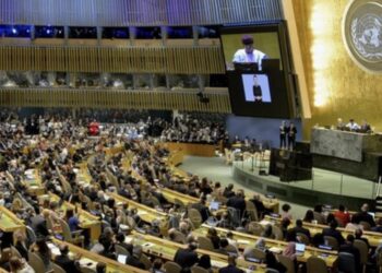 Suiza presidirá el Consejo de Derechos Humanos de Naciones Unidas en 2025