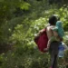 UNICEF alertó sobre récord de niños migrantes no acompañados en América Latina