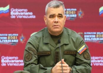 Padrino López reitera el compromiso de la FANB con la «defensa de la paz en Venezuela»
