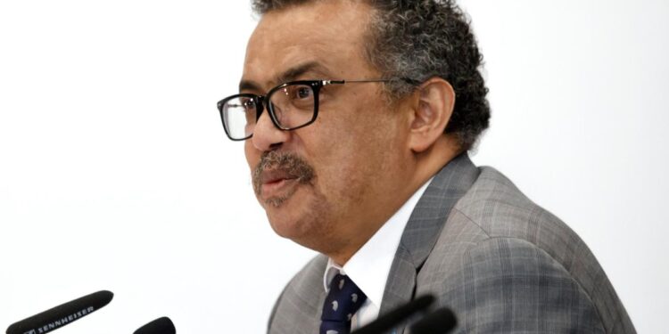 La OMS alerta de que la emergencia climática es “fundamentalmente una crisis de salud”