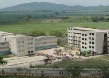 «Fue horrible, me sentí violada sin penetración», el relato de una madre durante la requisa de Yare III